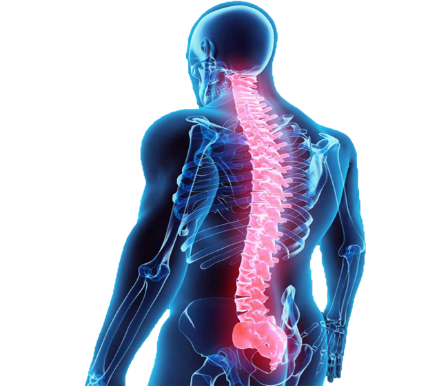 Spine tumors specialist in jalandhar